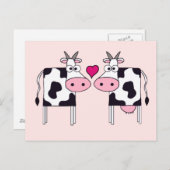 Carte Postale Vaches en amour (Devant / Derrière)