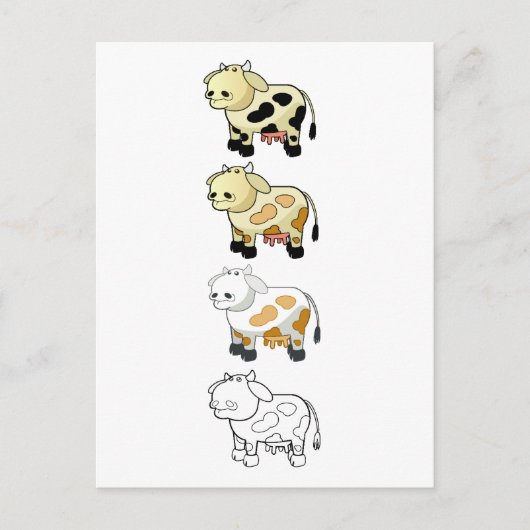 Carte postale Vaches laitières (Devant)