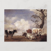 Carte Postale Vaches par Potter (Devant)