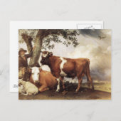 Carte Postale Vaches par Potter (Devant / Derrière)