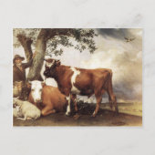 Carte Postale Vaches par Potter (Devant)