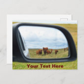 Carte Postale Vaches personnalisables dans le miroir (Devant / Derrière)