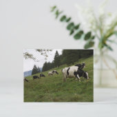 Carte Postale Vaches suisses (Debout devant)