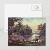Carte Postale Vaches sur la rive d'un lac (Devant / Derrière)