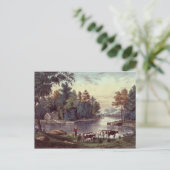 Carte Postale Vaches sur la rive d'un lac (Debout devant)