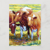 Carte Postale Vaches Vache Laitier Vache dans le pâturage Peintu (Devant)