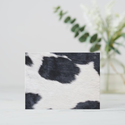 Carte Postale Vachette de style occidental noir/blanc imprimé (Debout devant)