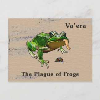Carte Postale Va'era - Grenouilles