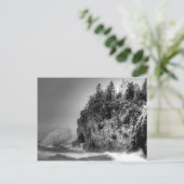 Carte Postale vague-10295 (Debout devant)