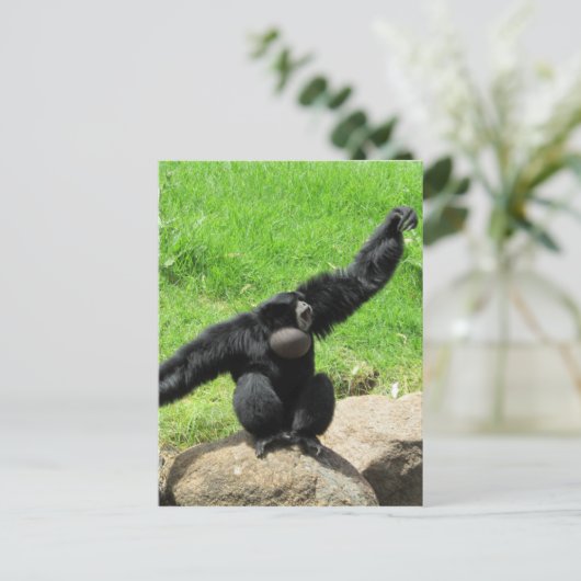 Carte Postale vague de siamang (Debout devant)