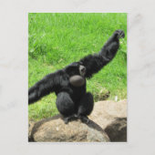 Carte Postale vague de siamang (Devant)