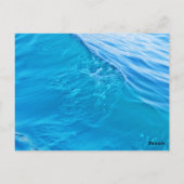 Carte Postale vague d'eau bleue (Dos)