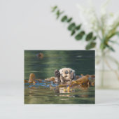 Carte Postale Vague Louter de mer (Debout devant)