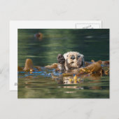 Carte Postale Vague Louter de mer (Devant / Derrière)