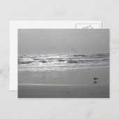 Carte postale Vagues (Devant / Derrière)