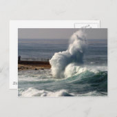 Carte Postale Vagues brisant les phoques La Jolla (Devant / Derrière)
