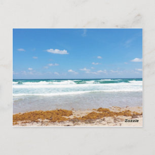 Carte Postale Vagues d'un ciel bleu vif se lavant sur le rivage