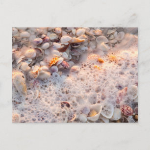Carte Postale Vagues entrantes et coquillages sur l'île de Sanib