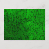 Vaisselle en terre cuite vert citron