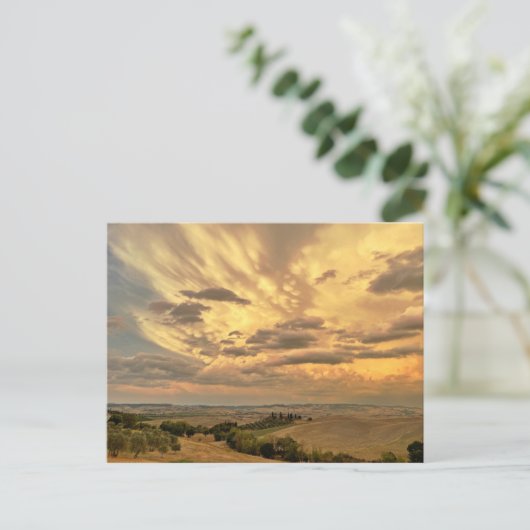 Carte postale Val D'Orcia (Debout devant)