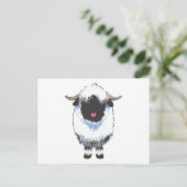 Carte postale Valais Black Nose Sheep (Debout devant)