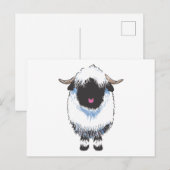 Carte postale Valais Black Nose Sheep (Devant / Derrière)