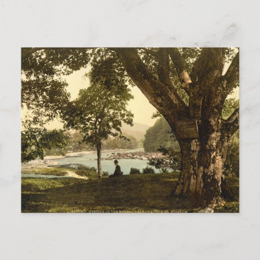 Carte Postale Vale d'Avoca, comté de Wicklow (Devant)