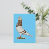 Carte Postale Valencienne Figurita Pigeon (Debout devant)