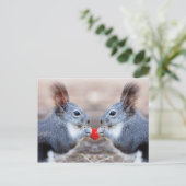 Carte postale Valentine Squirrels (Debout devant)
