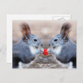 Carte postale Valentine Squirrels (Devant / Derrière)