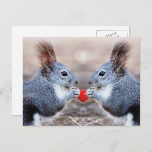 Carte postale Valentine Squirrels (Devant / Derrière)
