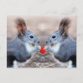 Carte postale Valentine Squirrels (Devant)