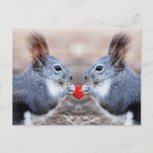 Carte postale Valentine Squirrels (Devant)