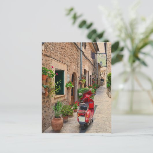 Carte postale Valldemossa (Debout devant)