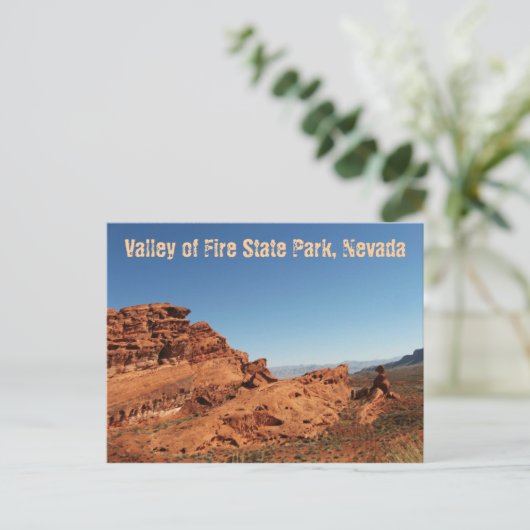 Carte Postale Vallée de Feu (Debout devant)