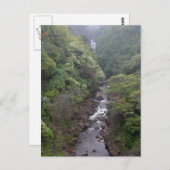 Carte Postale Vallée De La Rivière Près De Hilo, Hawaii (Devant / Derrière)