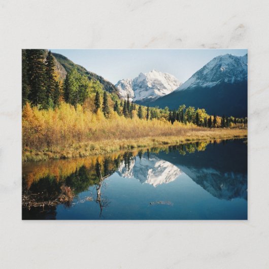 Carte Postale Vallée de l'Eagle River en automne (Devant)
