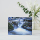 Carte Postale Vallée de l'eau (Debout devant)