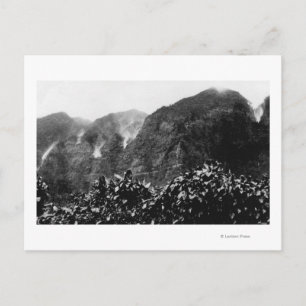 Carte Postale Vallée de Nuuanu, Hawaii - Vue de l'automne en hau