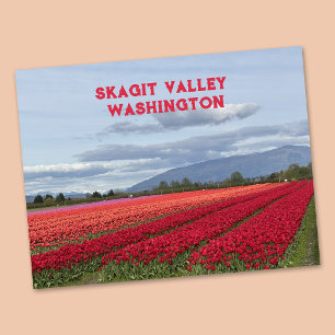 Carte Postale Vallée de Skagit Tulipe de l'État de Washington