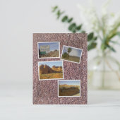 Carte Postale Vallée du désert de feu - Nevada (Debout devant)