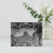 Carte Postale Vallée du Monument (Debout devant)