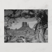 Carte Postale Vallée du Monument (Devant)