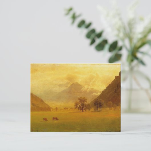 Carte Postale Vallée du Rhône (Debout devant)