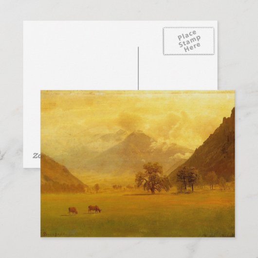 Carte Postale Vallée du Rhône (Devant / Derrière)