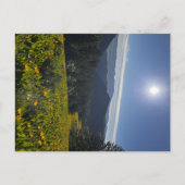 Carte Postale Vallée Ensoleillée (Devant)