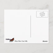 Carte Postale Vallée sculptée par les glaciers de l'Alaska (Dos)