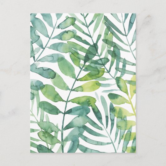 Carte Postale Valse Frond - Feuilles Frond Palm (Devant)