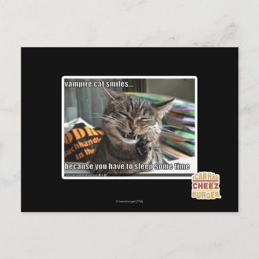 Carte Postale vampire chat sourit (Devant)