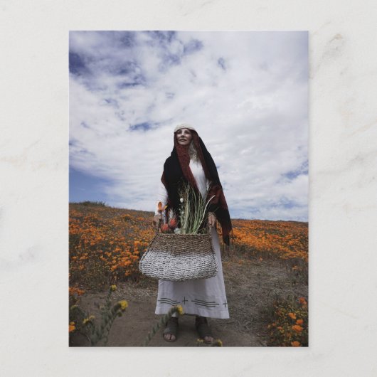 Carte postale Vamplifié Gypsy Trail (Devant)